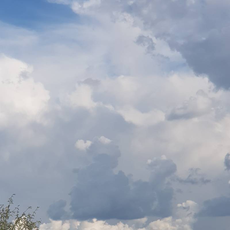 Fotosegnalazione di Farra di soligo