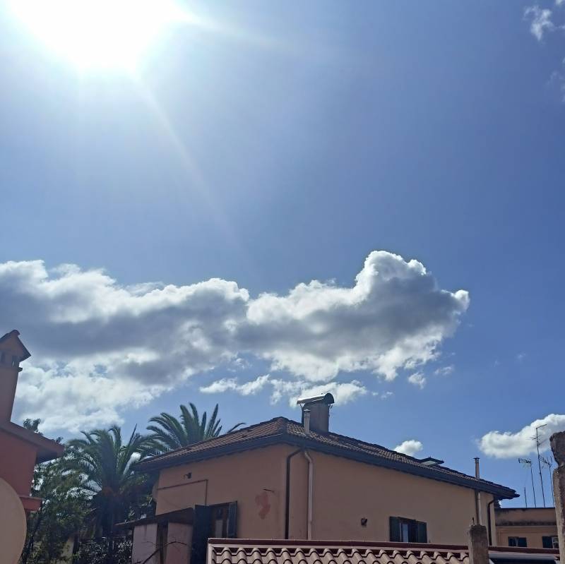 Fotosegnalazione di Roma primavalle