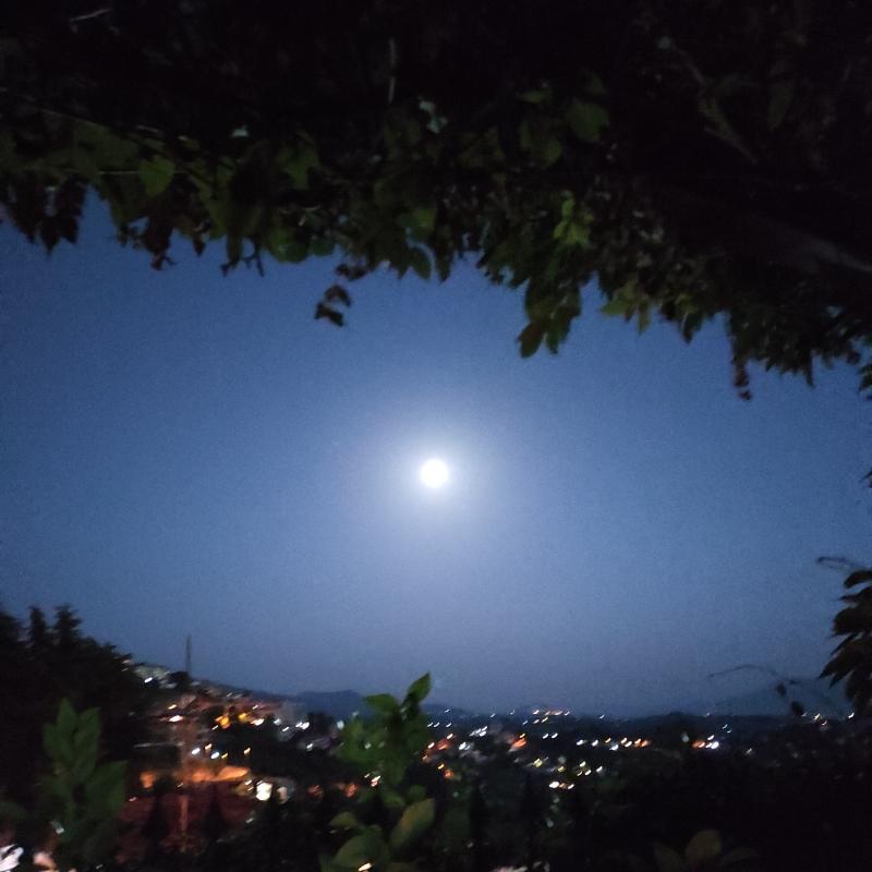 Fotosegnalazione di Olevano romano