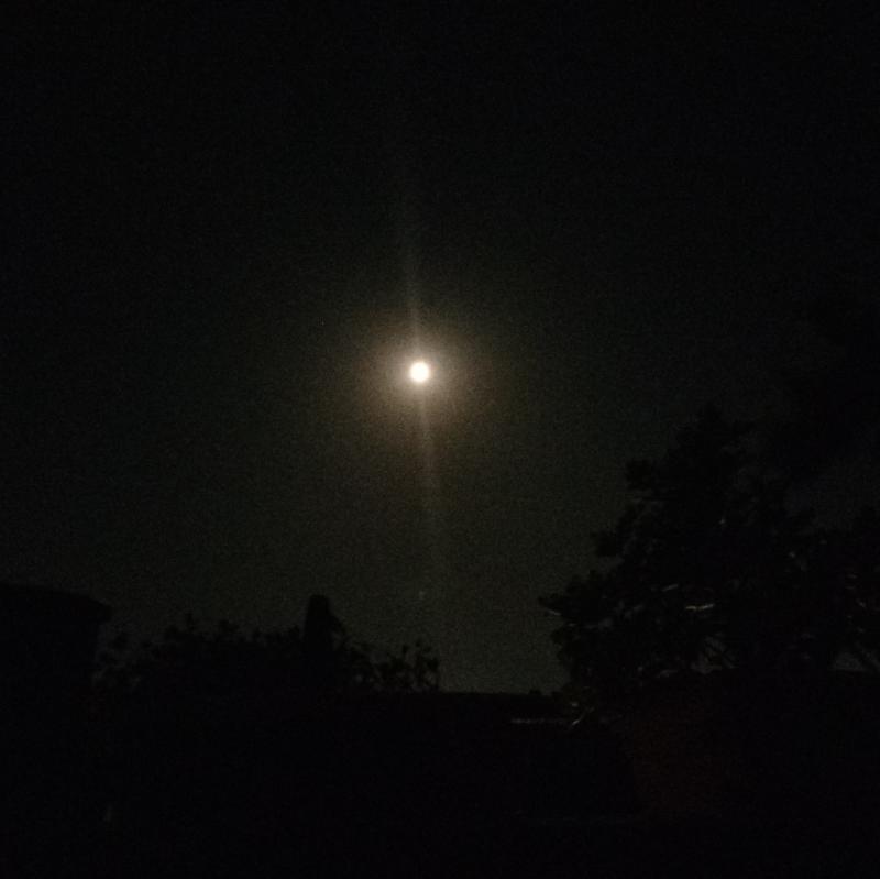 Fotosegnalazione di Vasto