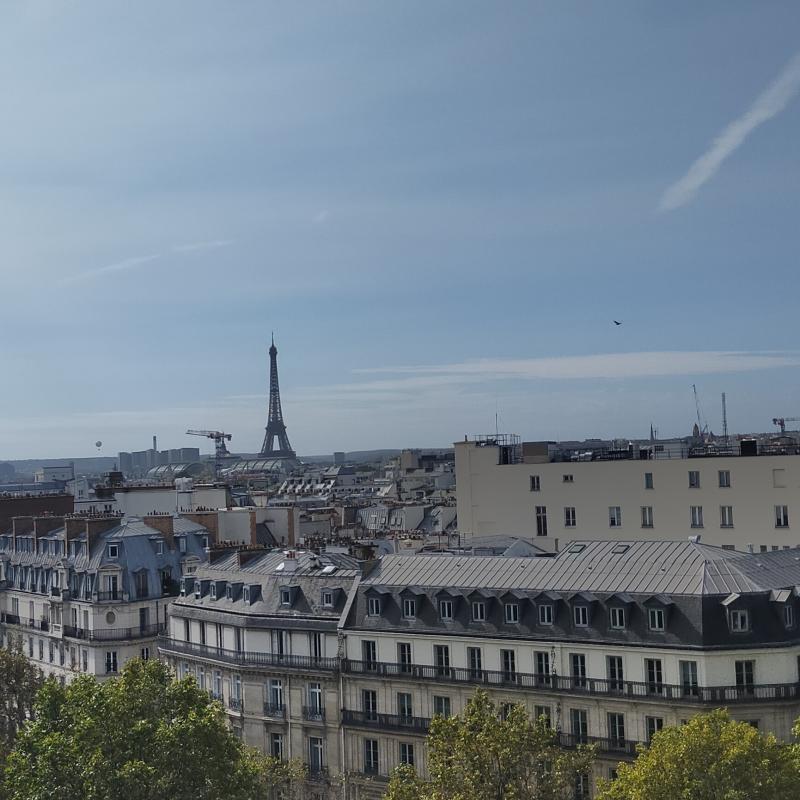 Fotosegnalazione di Parigi