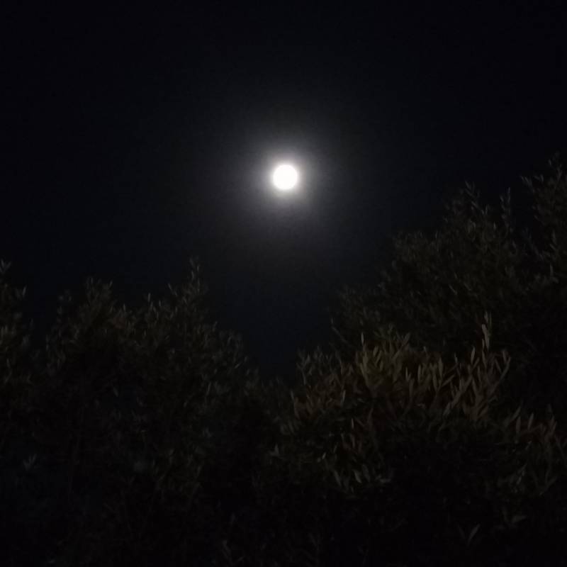 Fotosegnalazione di Vasto