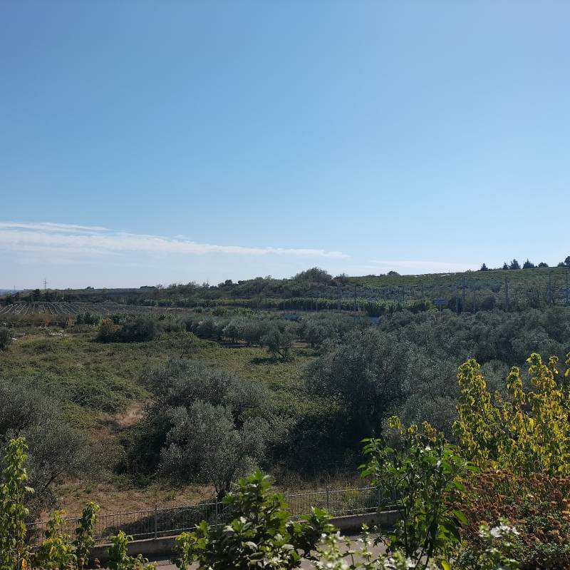 Fotosegnalazione di Vasto