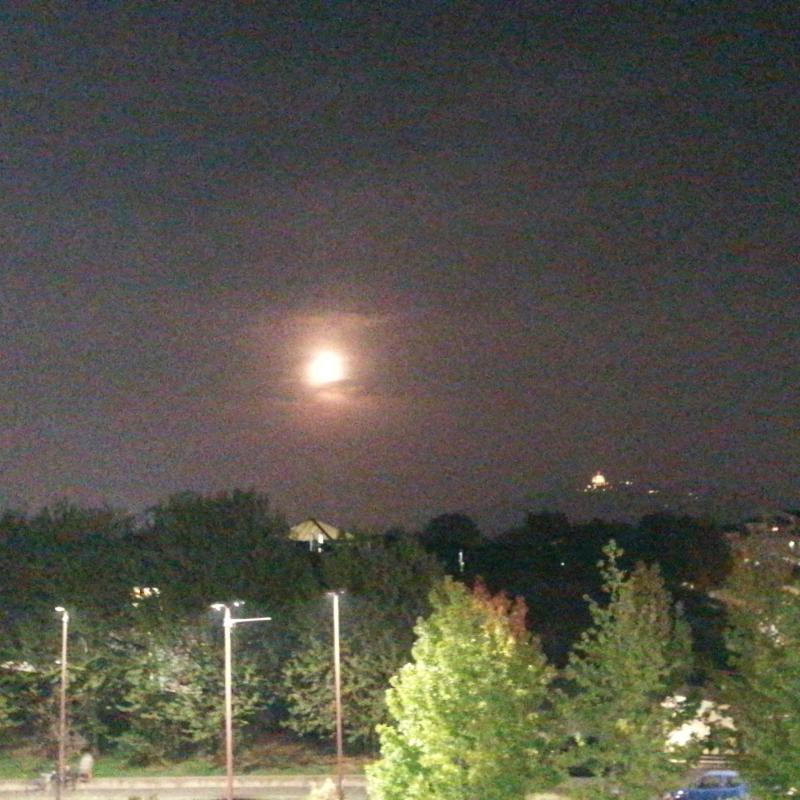 Fotosegnalazione di Torino san donato - campidoglio