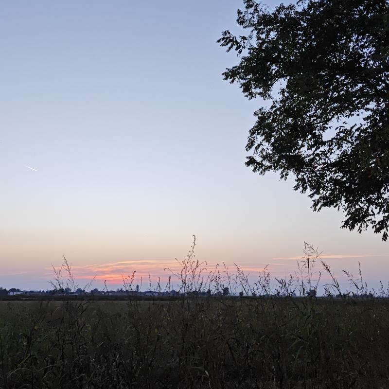 Fotosegnalazione di Gambarana