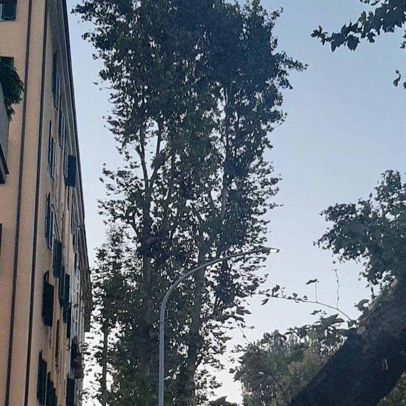 Fotosegnalazione di Roma tiburtino