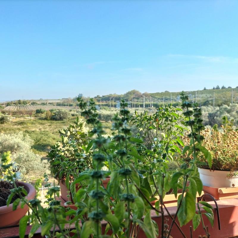 Fotosegnalazione di Vasto