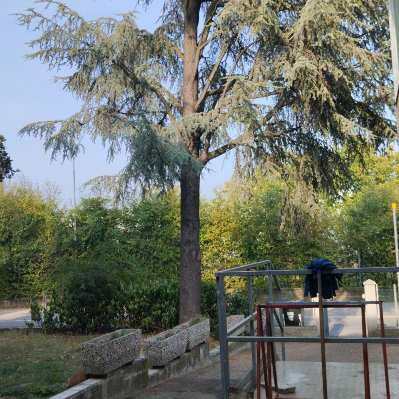 Fotosegnalazione di Scandiano