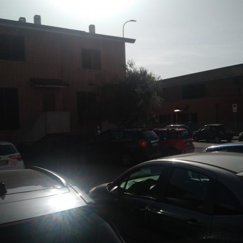 Fotosegnalazione di Bovisio masciago
