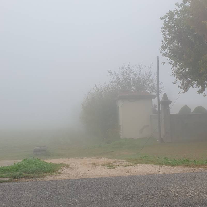 Fotosegnalazione di Bondeno
