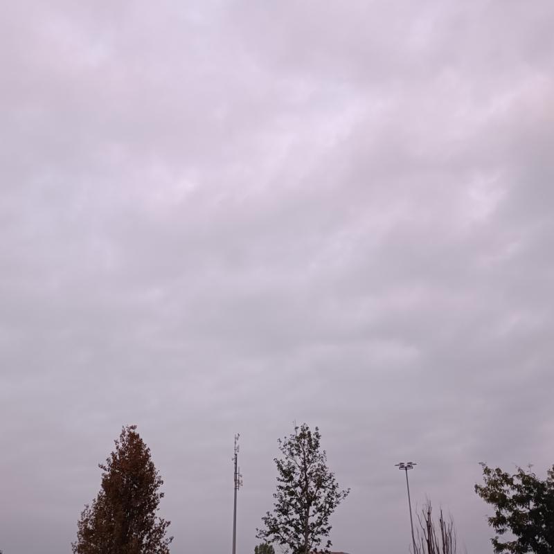 Fotosegnalazione di Borgaro torinese