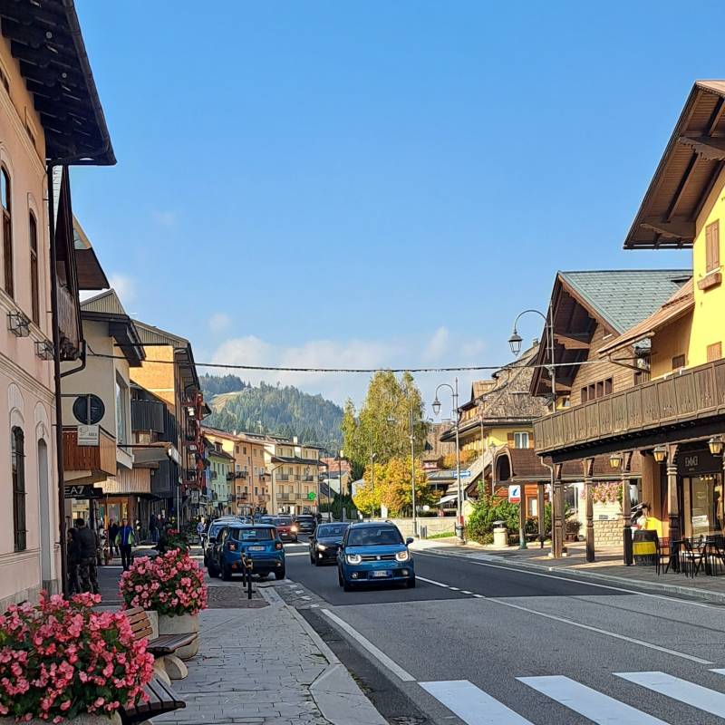 Fotosegnalazione di Tarvisio