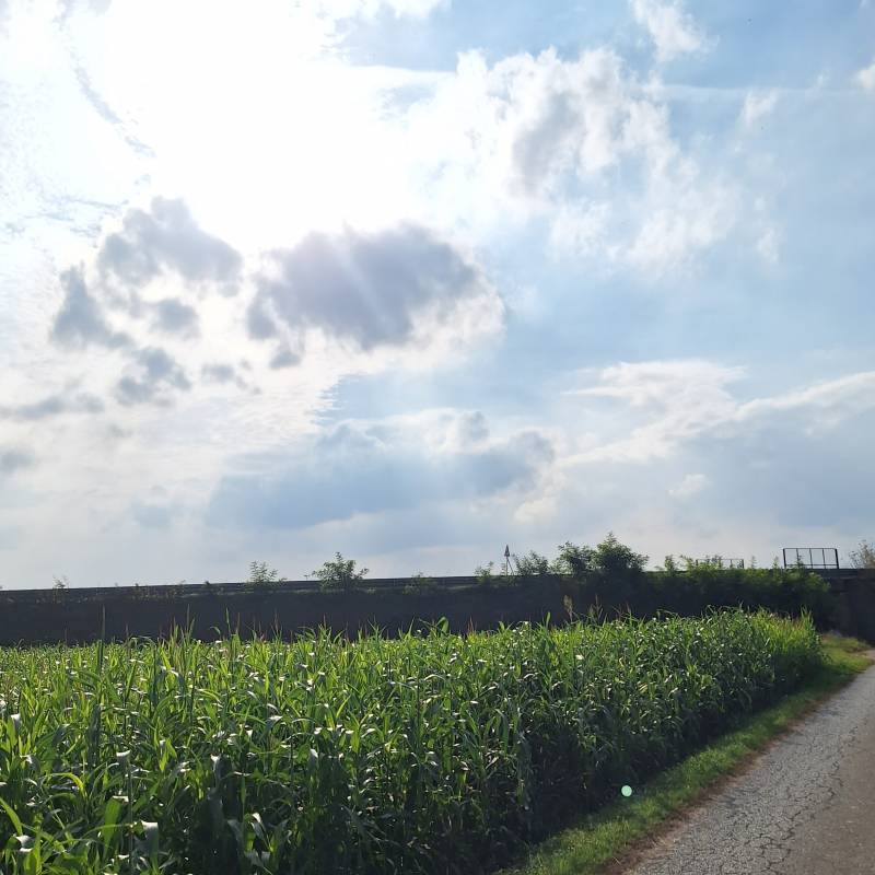 Fotosegnalazione di Cappella cantone