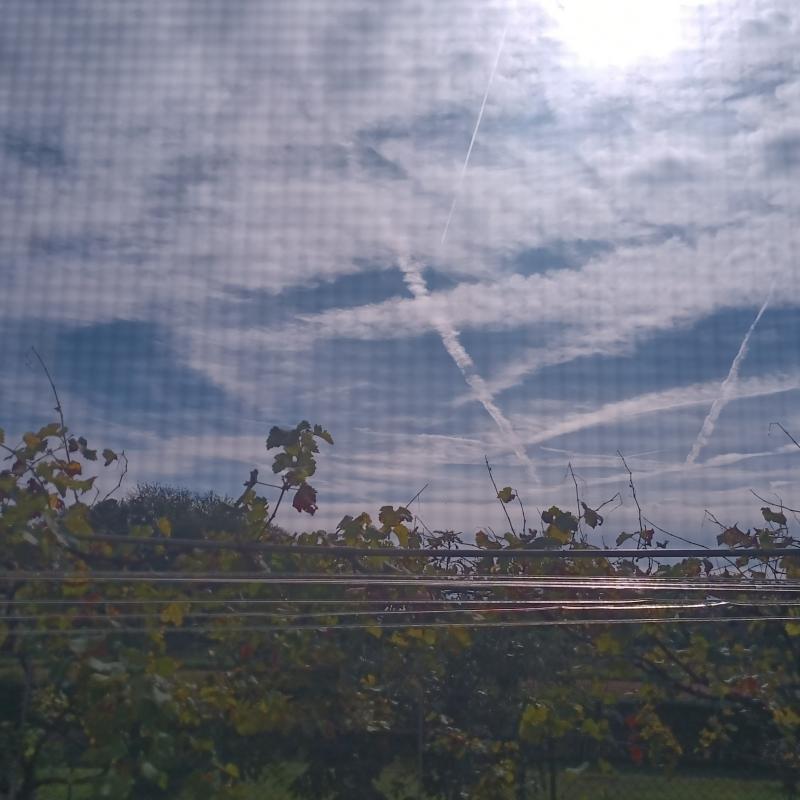 Fotosegnalazione di Lentate sul seveso