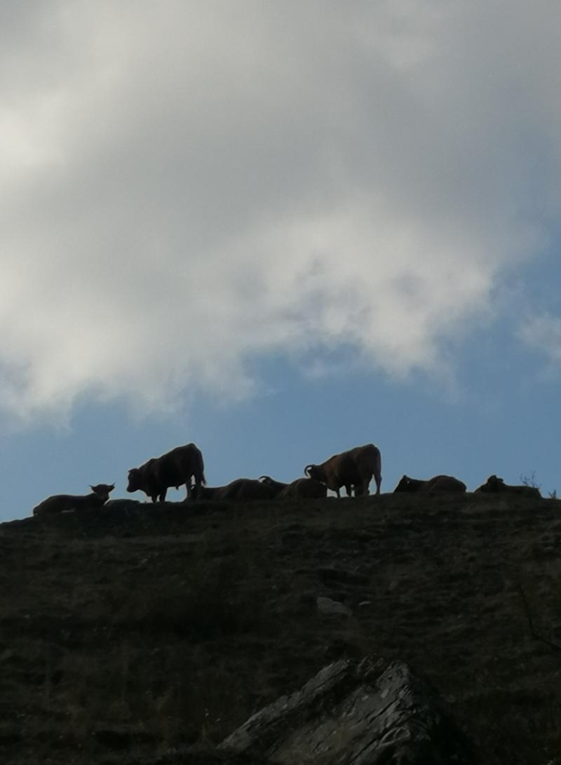 arriva la pioggia