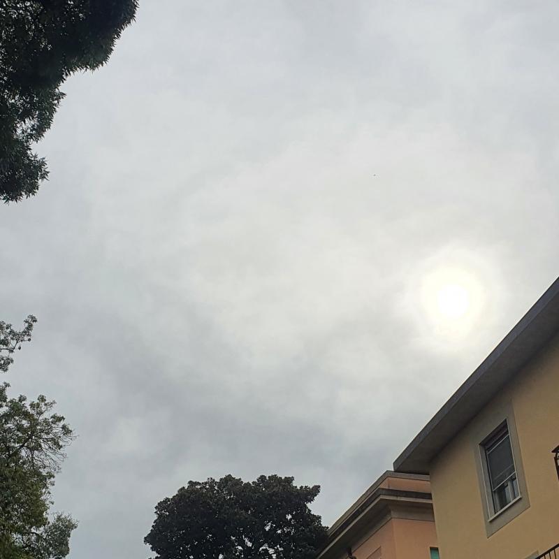 Fotosegnalazione di Pisa porta nuova