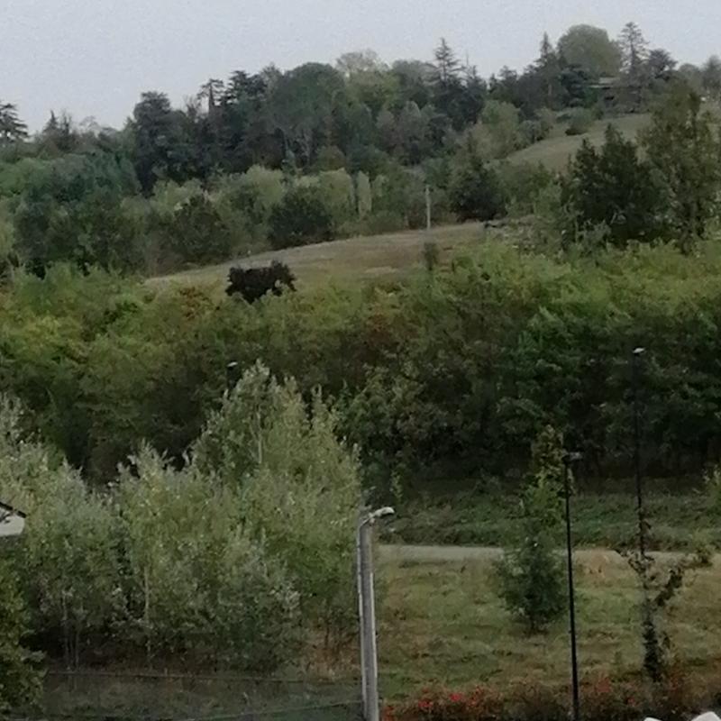 Fotosegnalazione di Valenza