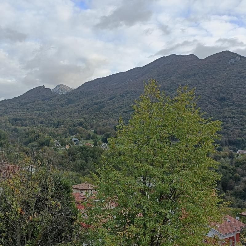Fotosegnalazione di Esino lario