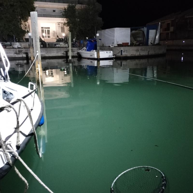 Fotosegnalazione di San salvo