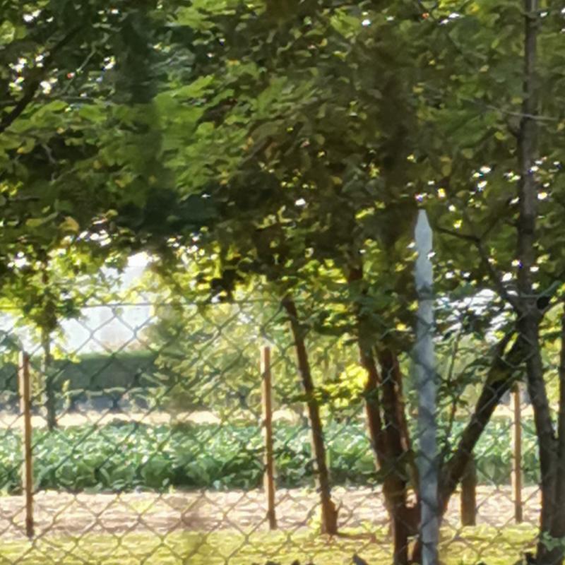 Fotosegnalazione di Martellago