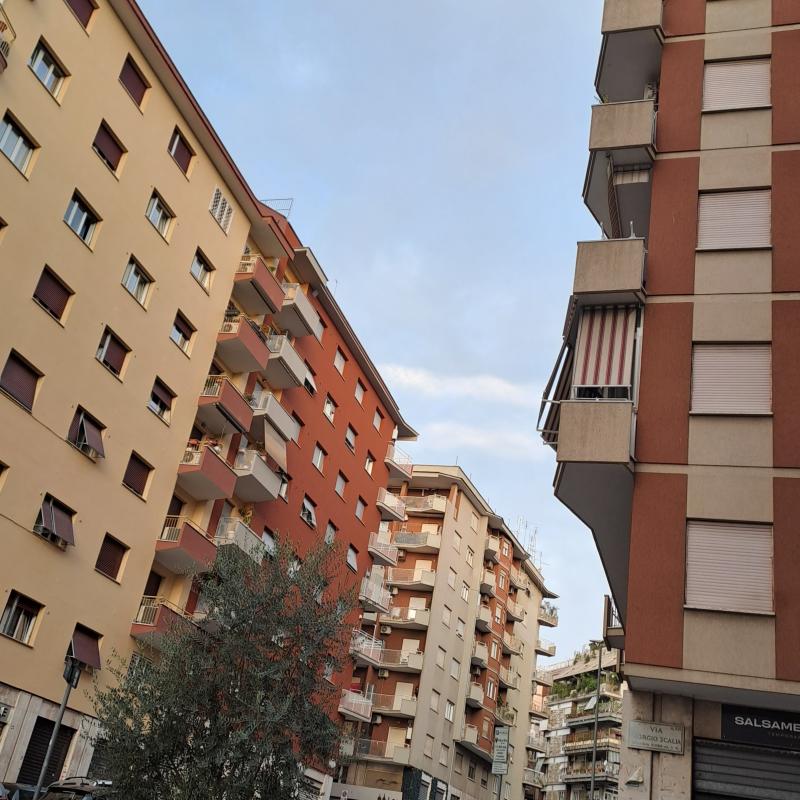 Fotosegnalazione di Roma trionfale