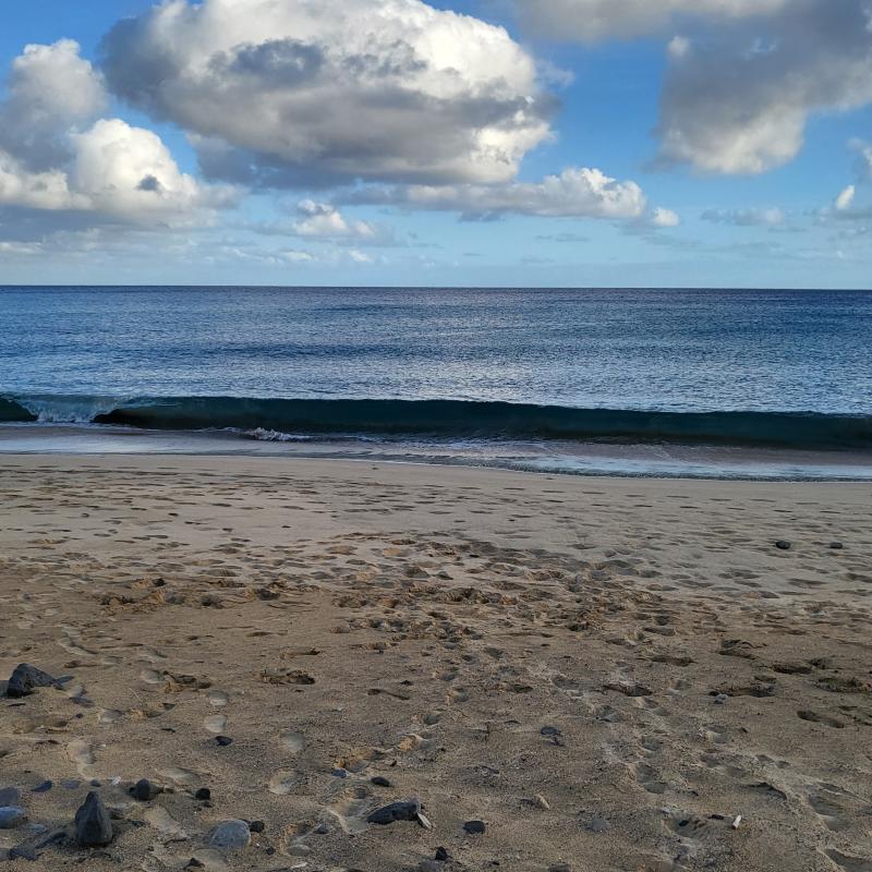 Fotosegnalazione di Vila de porto santo