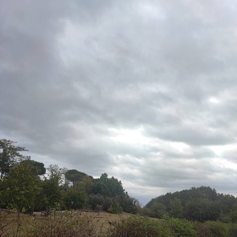 Fotosegnalazione di Rignano sull'arno