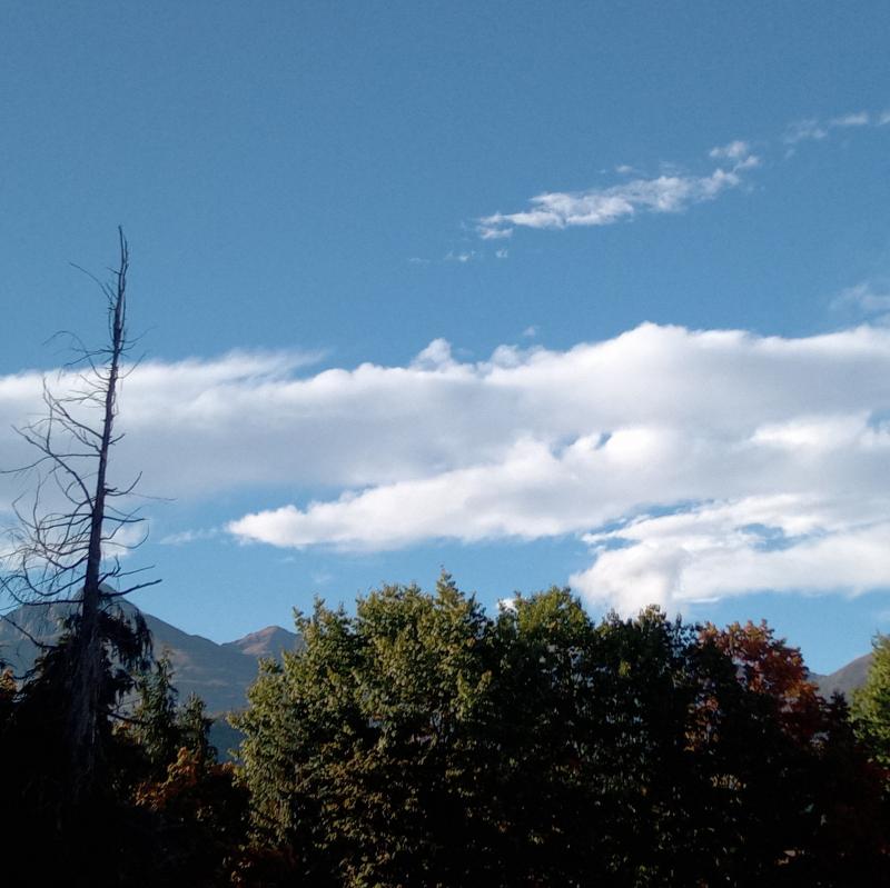 Fotosegnalazione di Biella cossila san grato