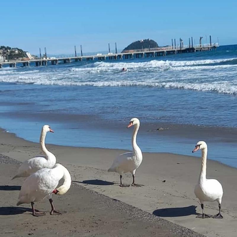 Alassio 31 Ottobre nuovi turisti