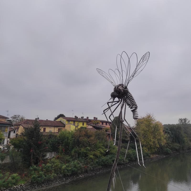 Fotosegnalazione di San zenone al po