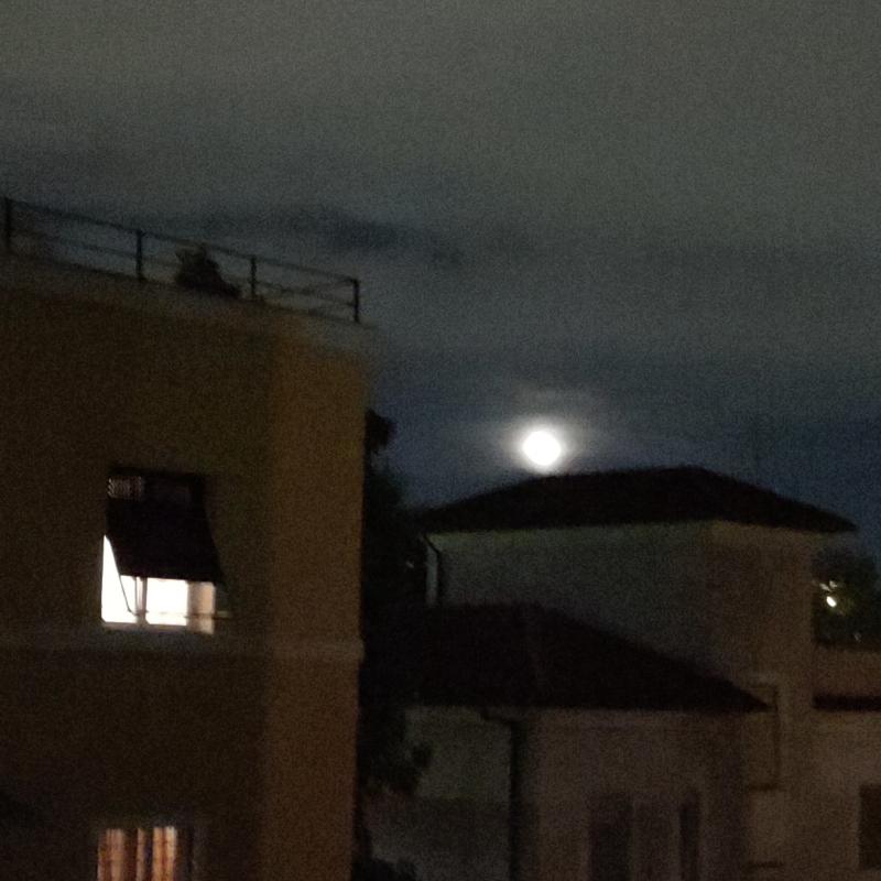 Fotosegnalazione di Roma gianicolense