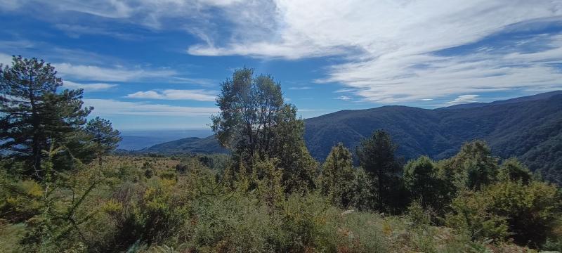 vista da campo di manna by g.congi