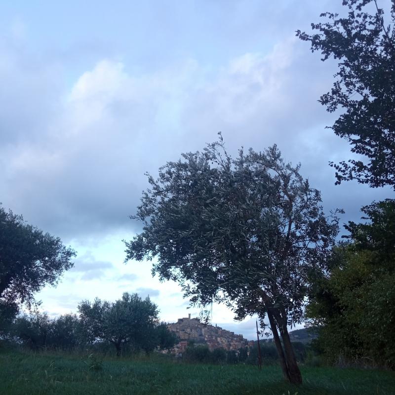 Fotosegnalazione di Palombara sabina