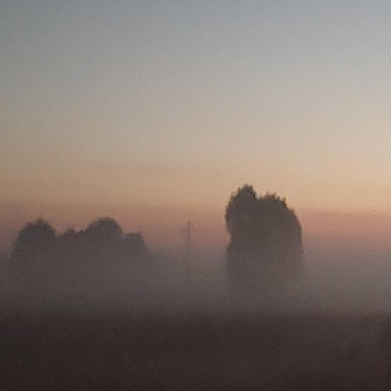 Fotosegnalazione di Dorno