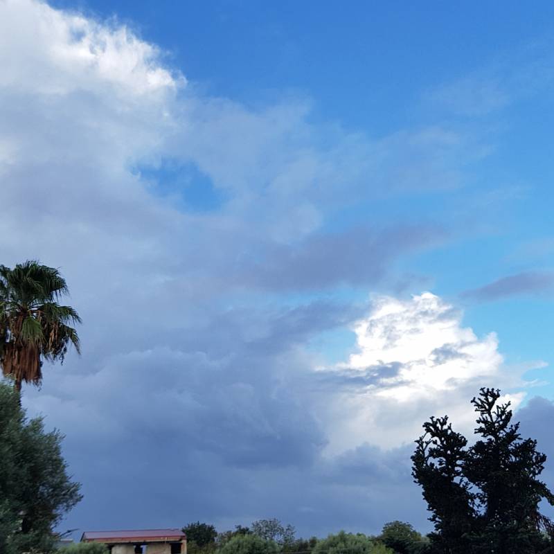 Fotosegnalazione di Polistena