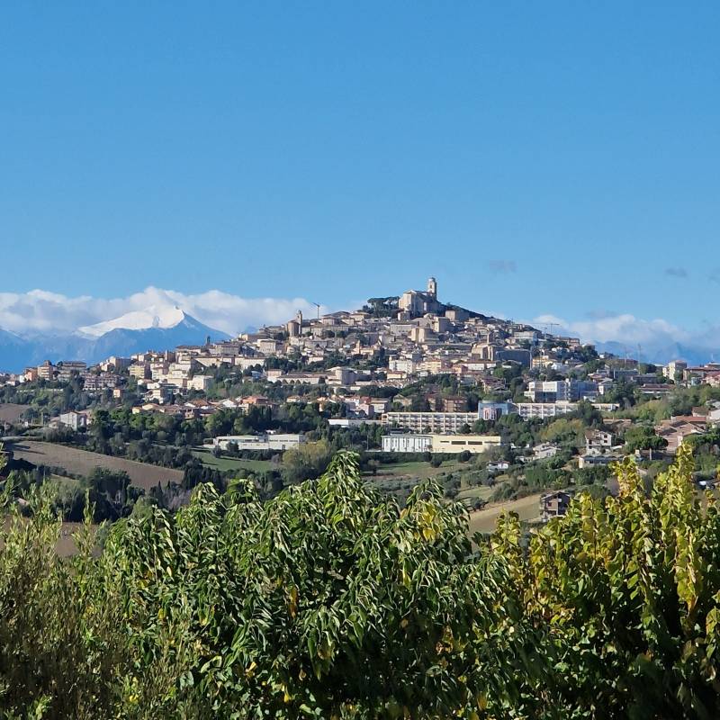 Fotosegnalazione di Fermo nord