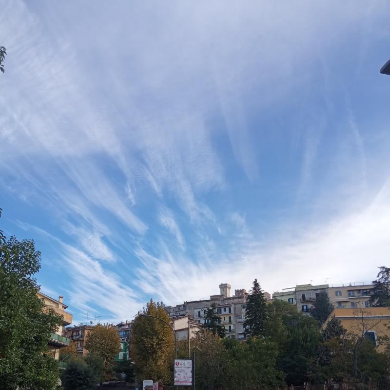 Fotosegnalazione di Palombara sabina