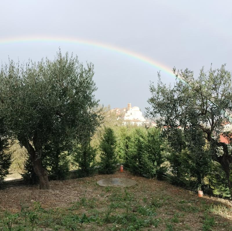 Altino incorniciato