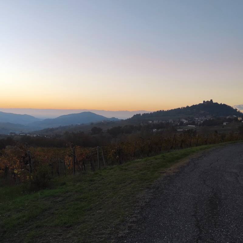 Fotosegnalazione di Montalto pavese