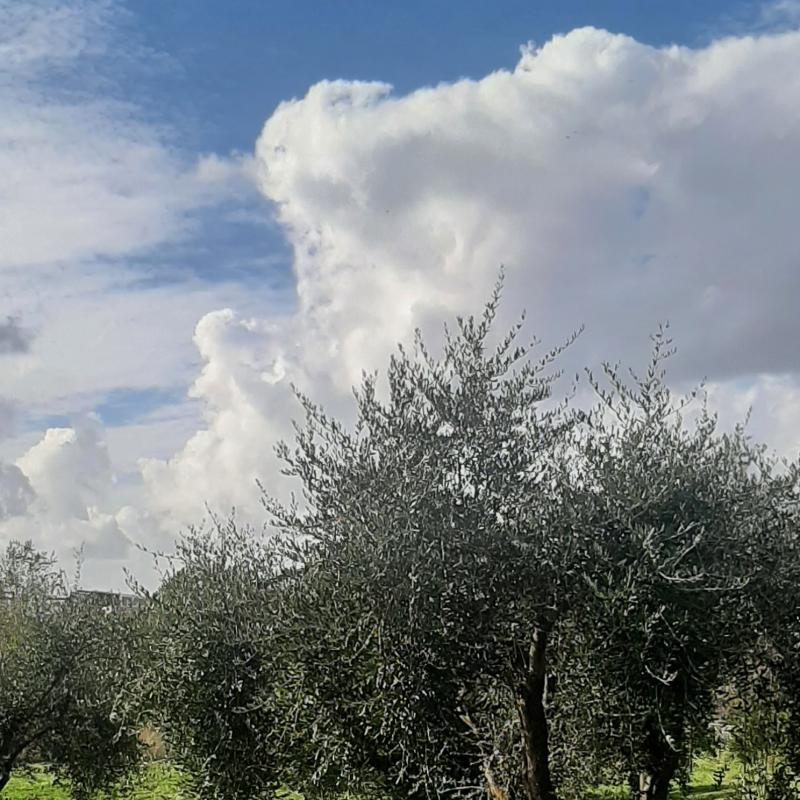 Fotosegnalazione di Roma torre gaia