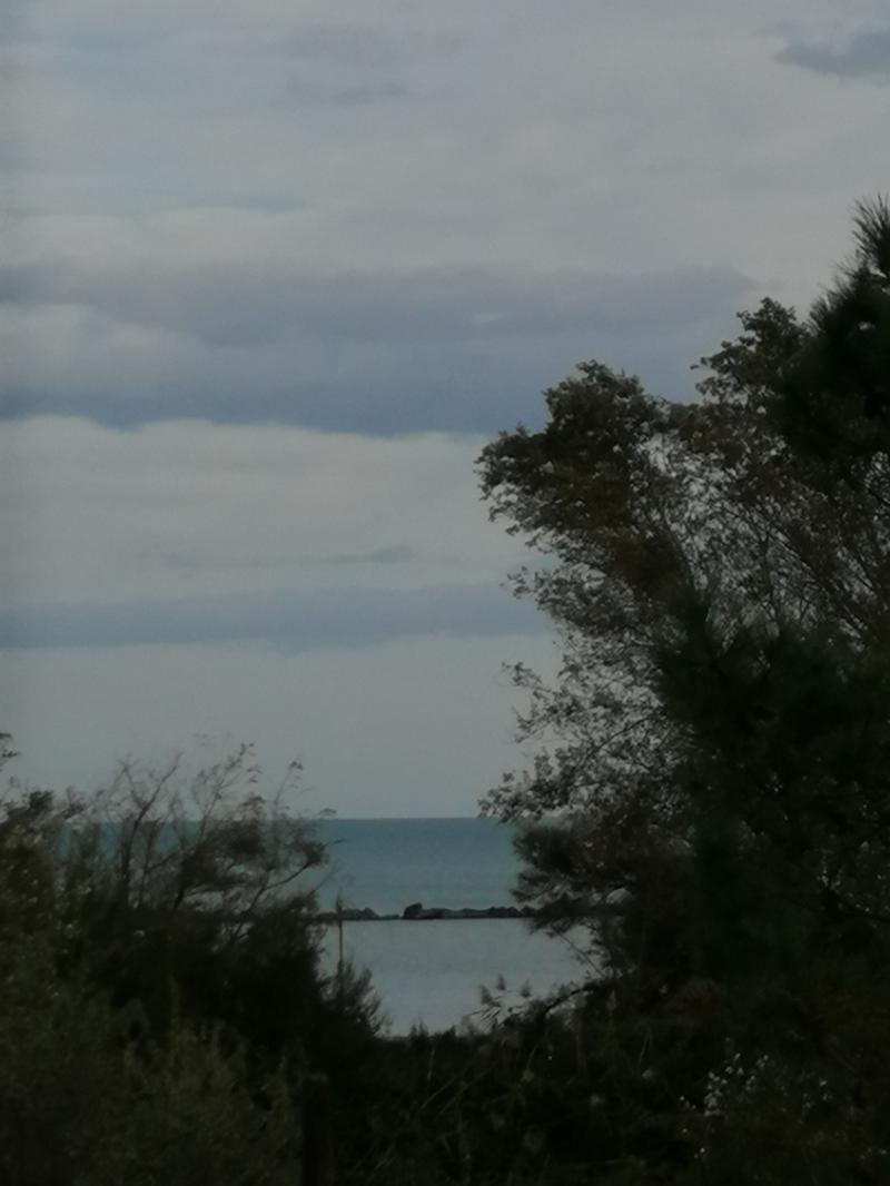 oggi nuvoloso.