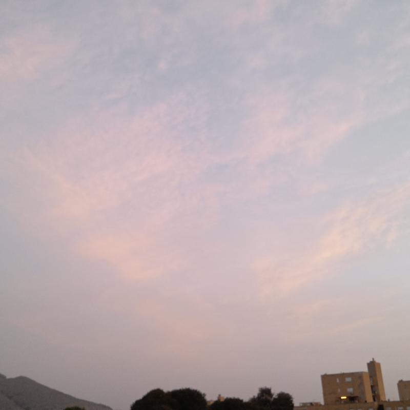 Fotosegnalazione di Palermo pallavicino