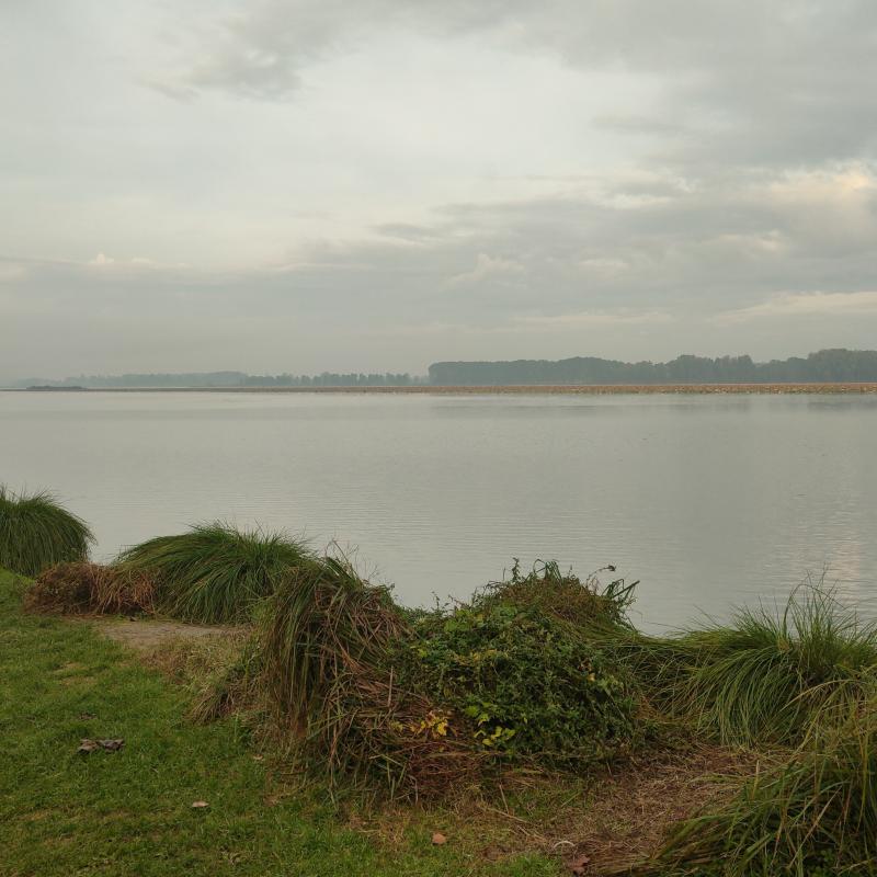Fotosegnalazione di Mantova nord