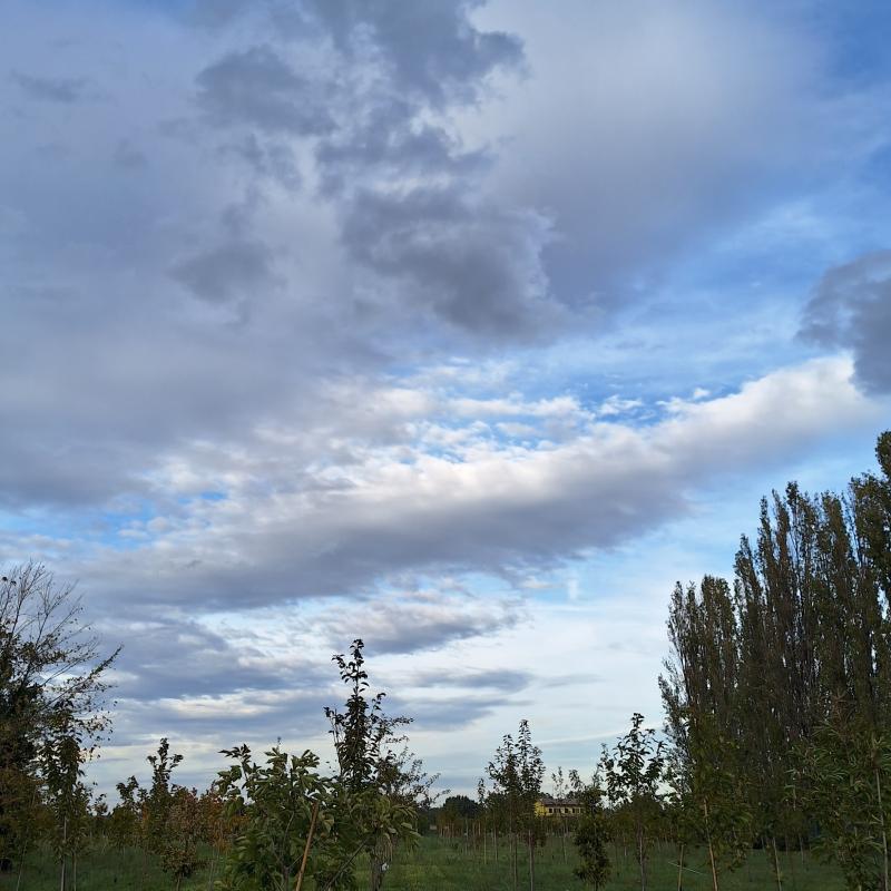 Fotosegnalazione di Forli' ovest
