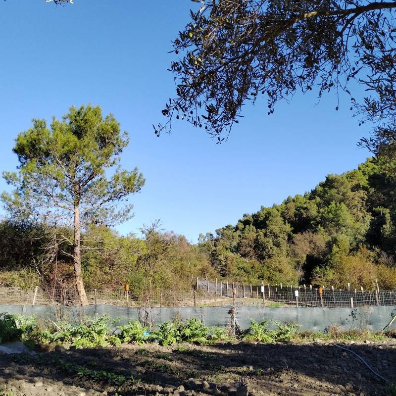 Fotosegnalazione di Pallagorio