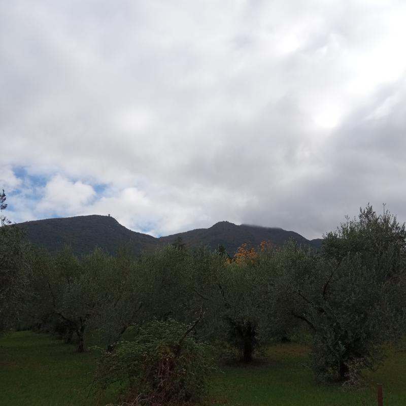 Fotosegnalazione di Palombara sabina