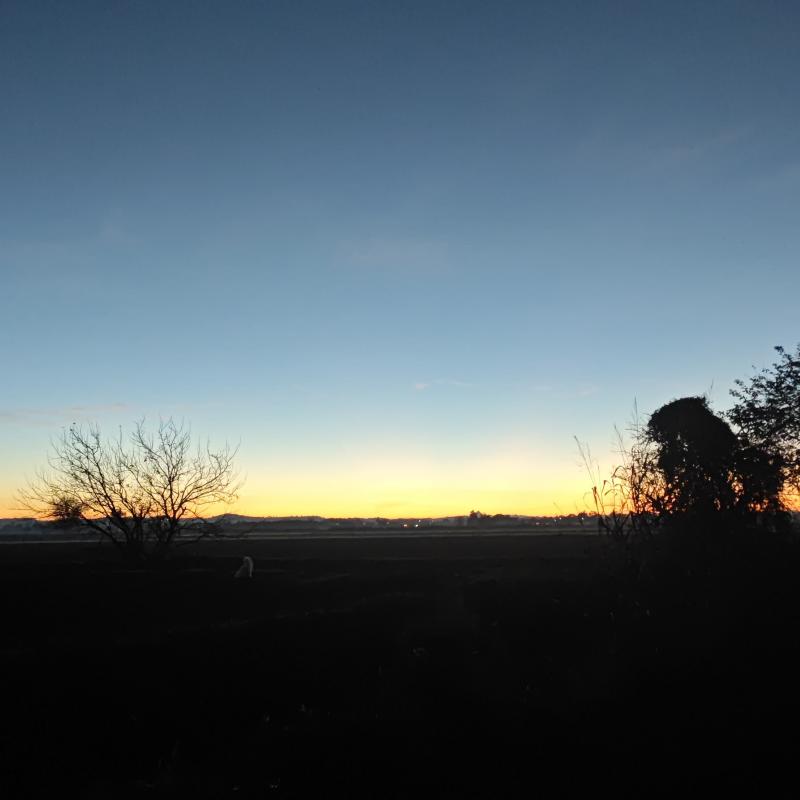 Fotosegnalazione di Gambarana