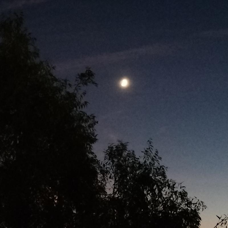 Fotosegnalazione di Vasto