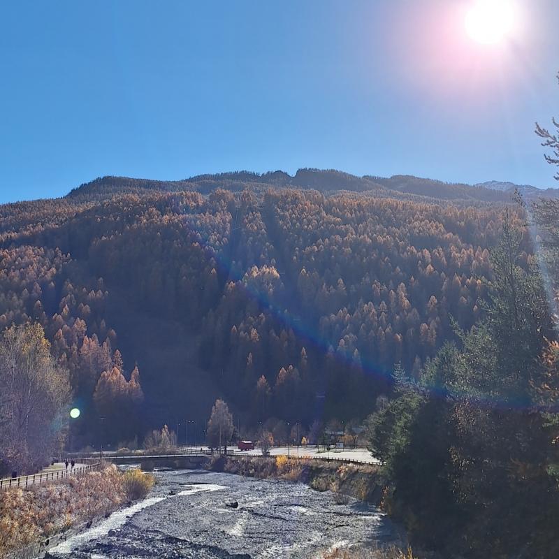 Fotosegnalazione di Bardonecchia