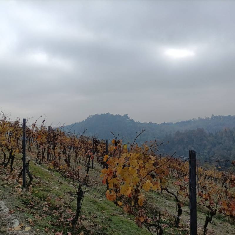 Fotosegnalazione di Serralunga di crea